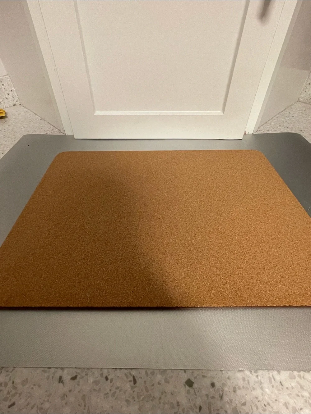 Williams Sonoma La Mer Cork Brown Fish  Placemat Theme 16x12 Like New Blue Trim